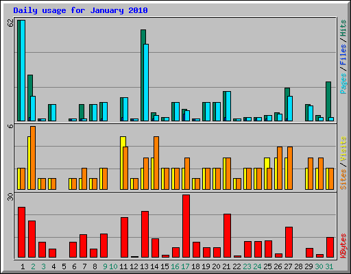 Daily usage for January 2010
