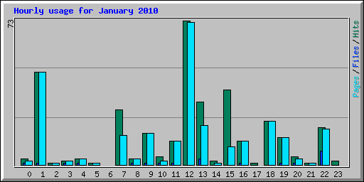 Hourly usage for January 2010