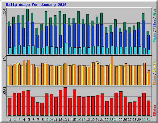 Daily usage for January 2010