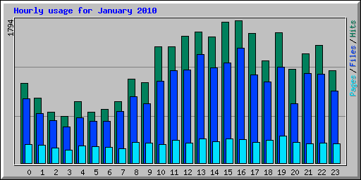 Hourly usage for January 2010