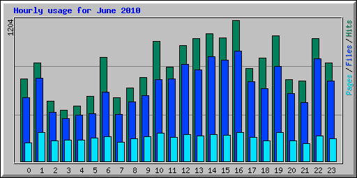 Hourly usage for June 2010