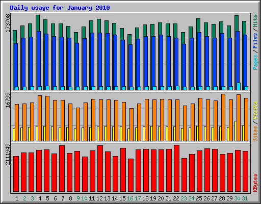 Daily usage for January 2010