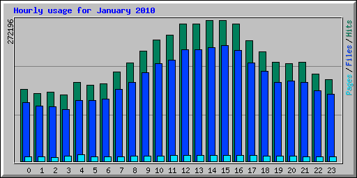 Hourly usage for January 2010