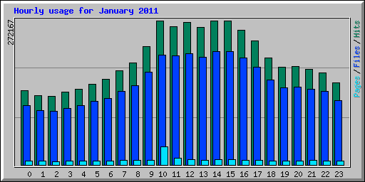 Hourly usage for January 2011