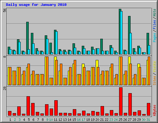 Daily usage for January 2010
