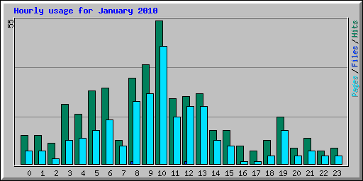 Hourly usage for January 2010