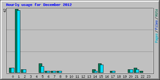 Hourly usage for December 2012