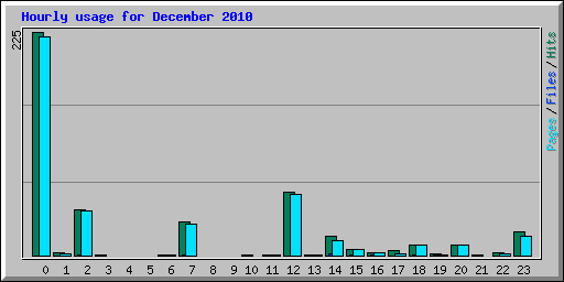 Hourly usage for December 2010