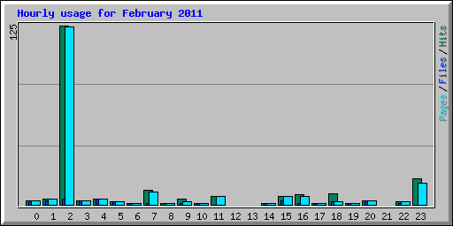 Hourly usage for February 2011