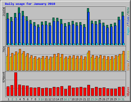 Daily usage for January 2010