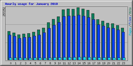 Hourly usage for January 2010