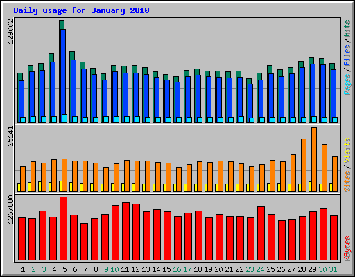Daily usage for January 2010