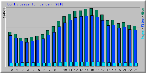 Hourly usage for January 2010