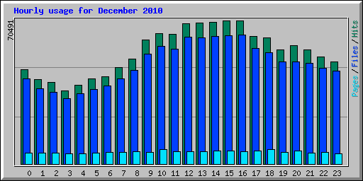 Hourly usage for December 2010